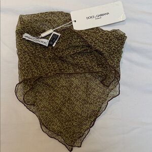 Dolce & Gabbana Brown and Green Logo Sheer Scarf